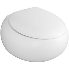 Ten einde raad baden getuigenis Villeroy & Boch WC-seat and cover Pure Stone 98M1S1R1 White Alpin  CeramicPlus